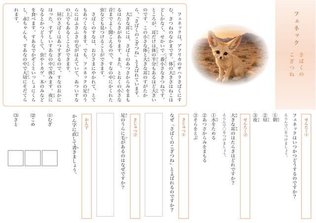 フェネックのプリント見本