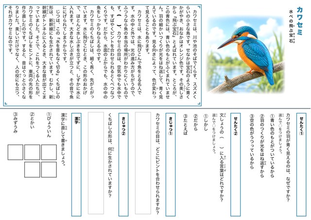 カワセミのプリント見本
