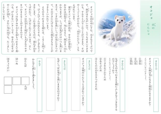 オコジョのプリント見本