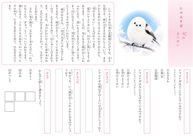 動物セット①のプリント見本